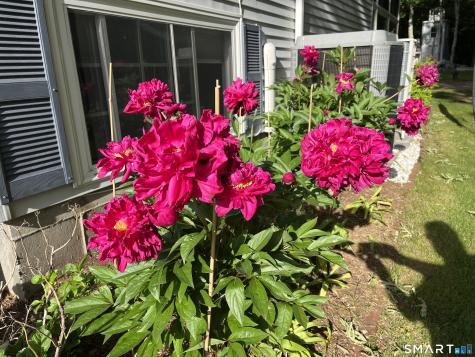63 Straitsville Road Prospect CT 06712