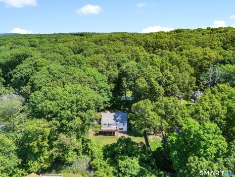 113 Ridgewood Trail Coventry CT 06238