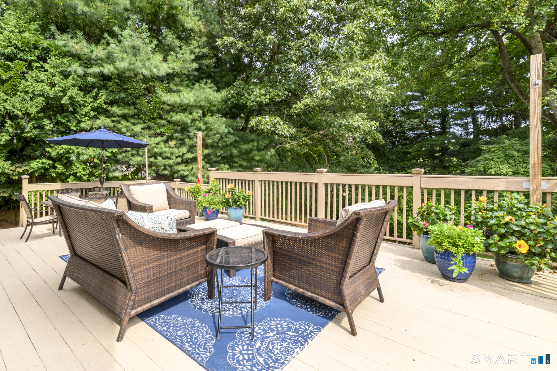 31 Kane Avenue Stamford CT 06905