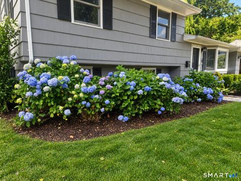 75 Sugar Plum Lane Fairfield CT 06824