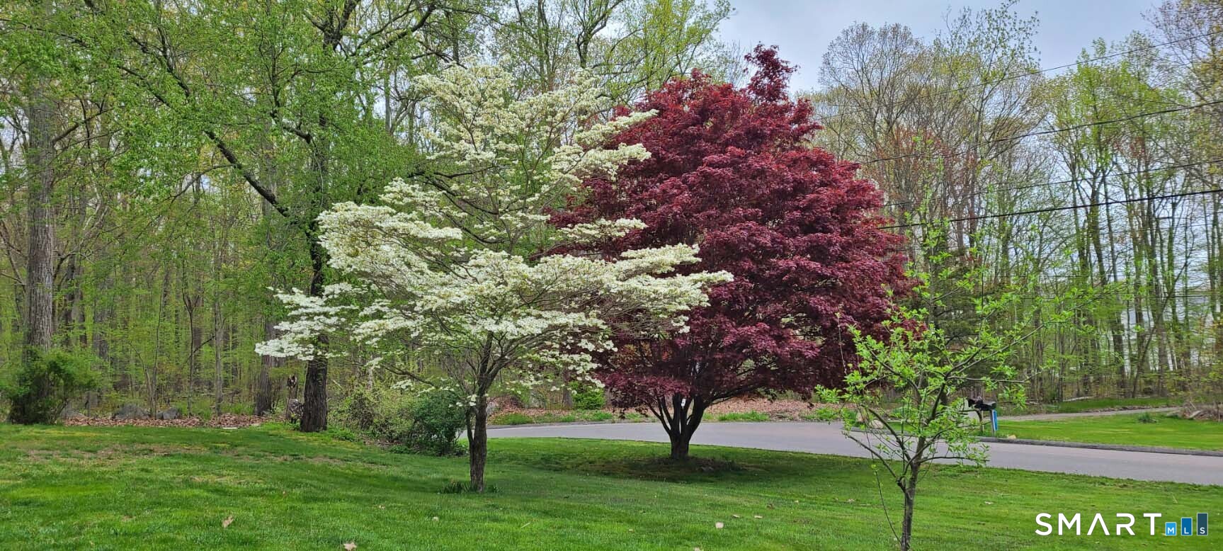 45 Crestwood Drive East Hampton CT 06424