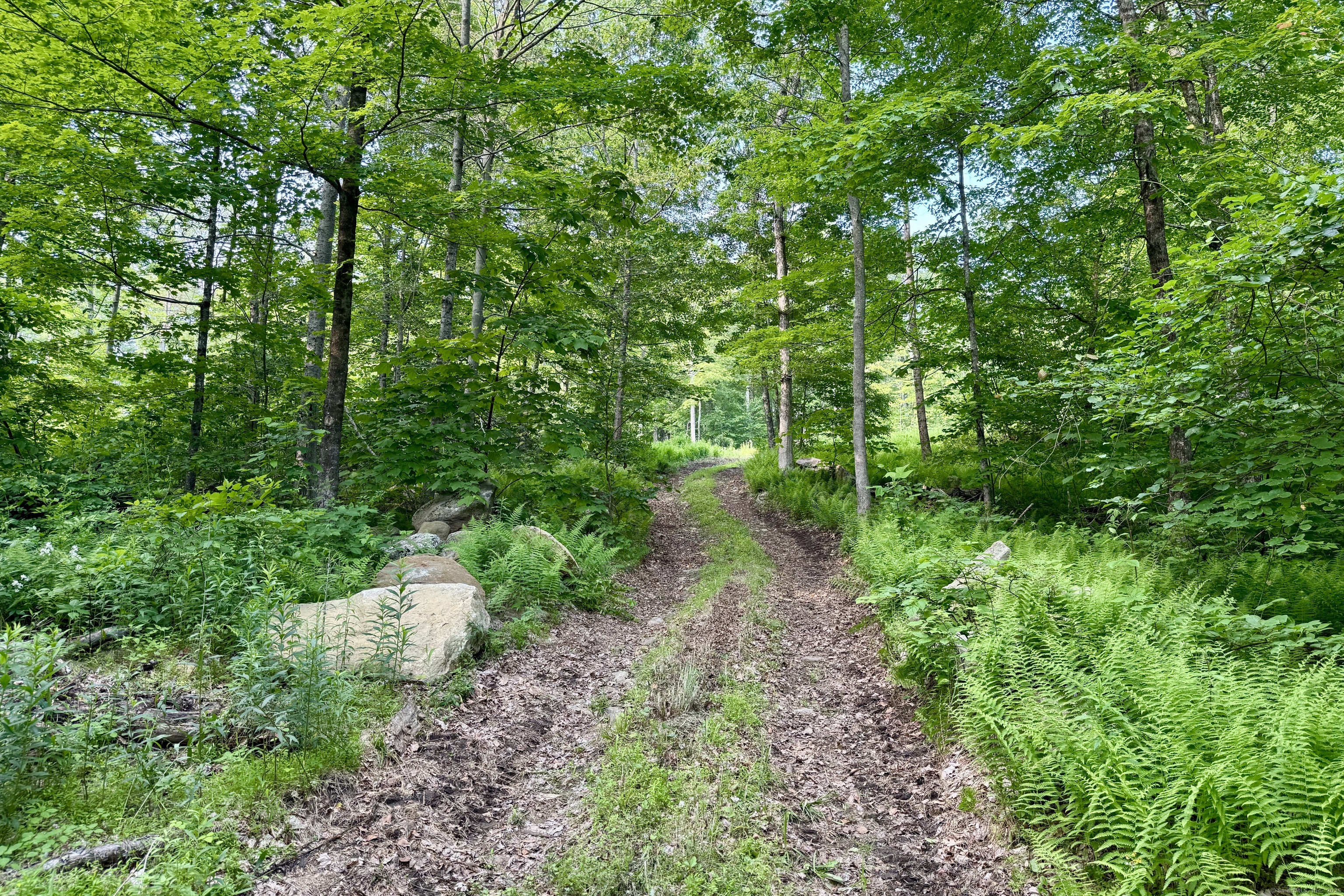 178 Carter Road Kent CT 06754