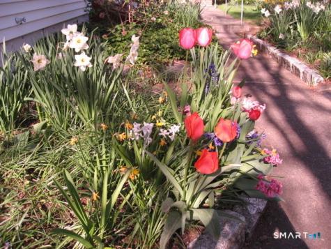 44 Granada Terrace New London CT 06320