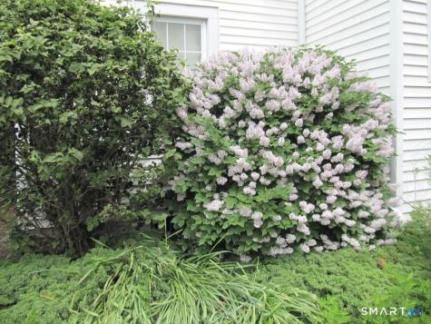 44 Granada Terrace New London CT 06320