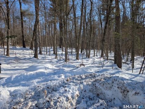 646 Torringford Street Torrington CT 06790