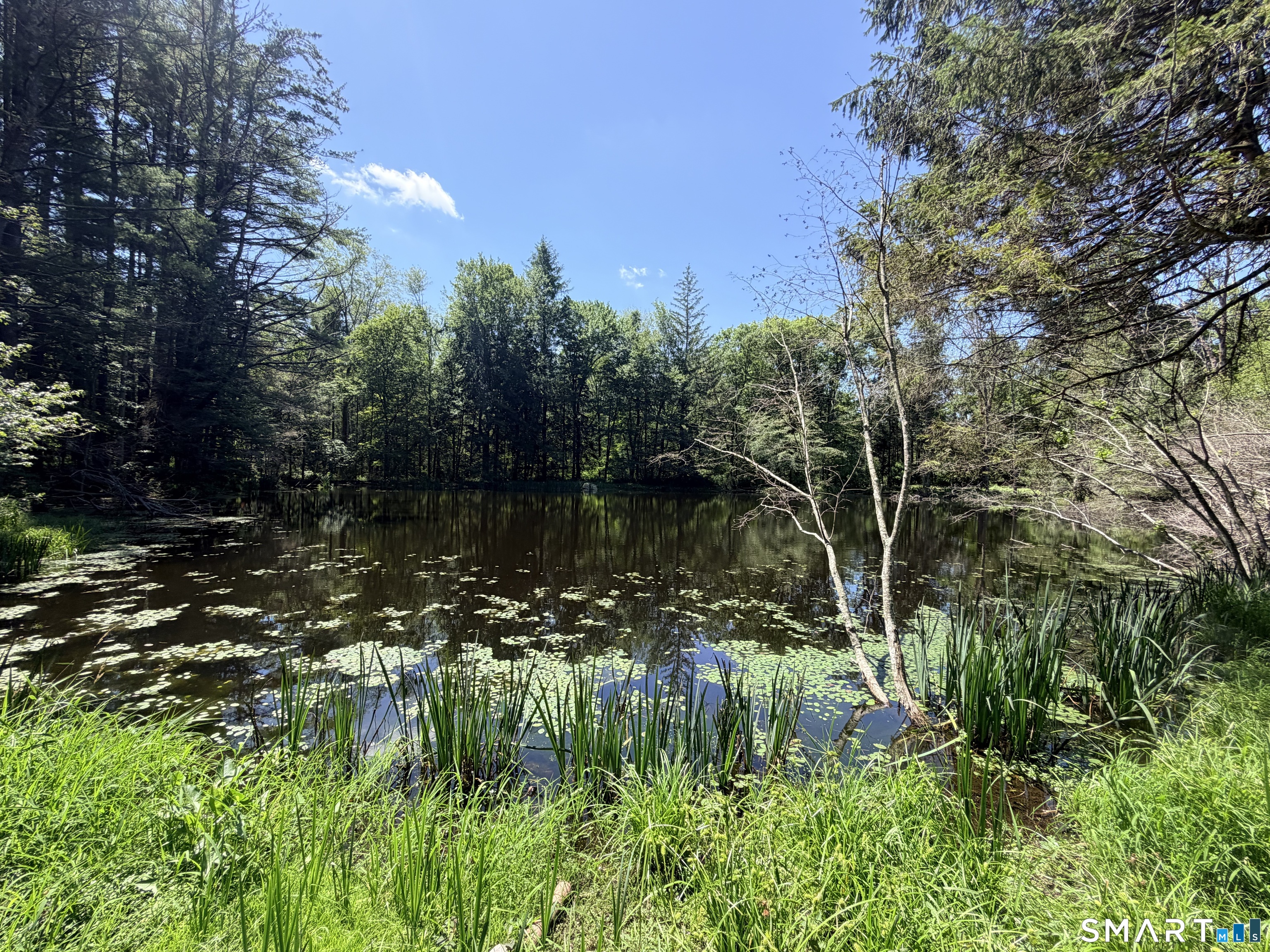 768 Mashamoquet Road Pomfret CT 06259