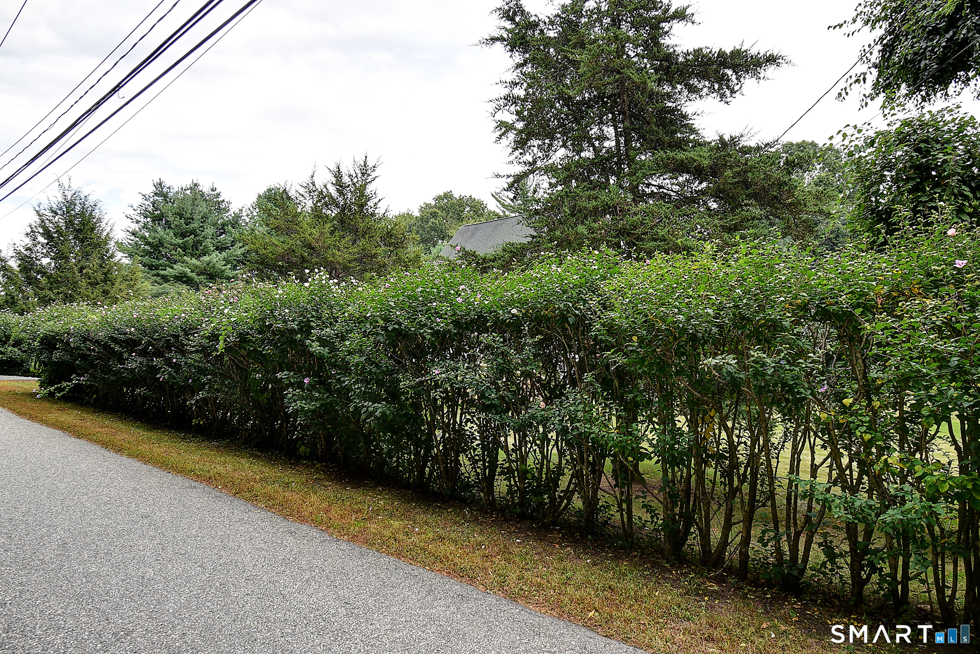 66 Sugar Hill Road Tolland CT 06084