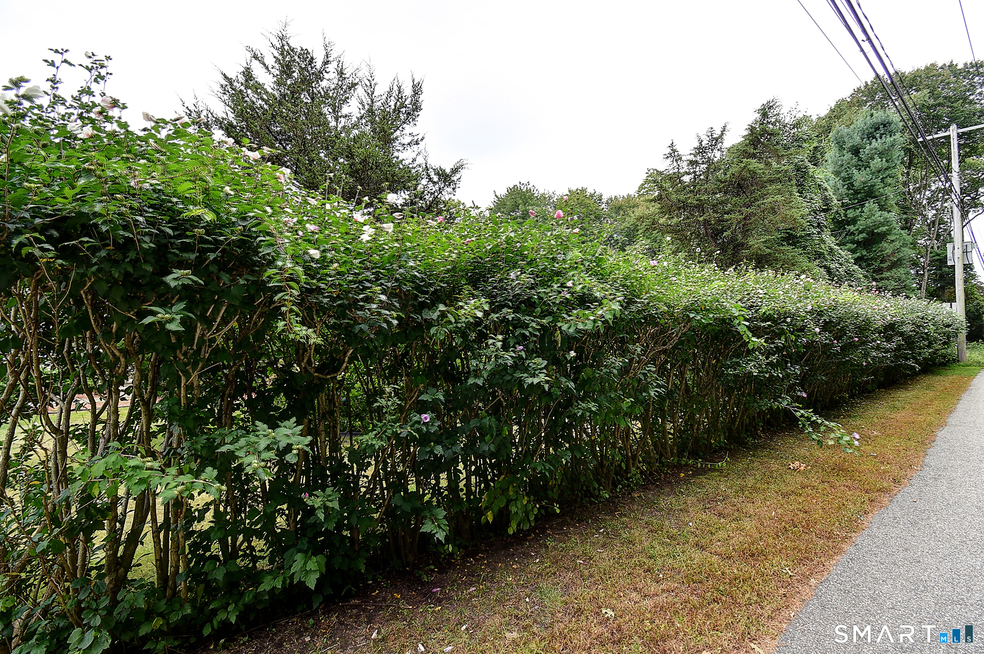 66 Sugar Hill Road Tolland CT 06084