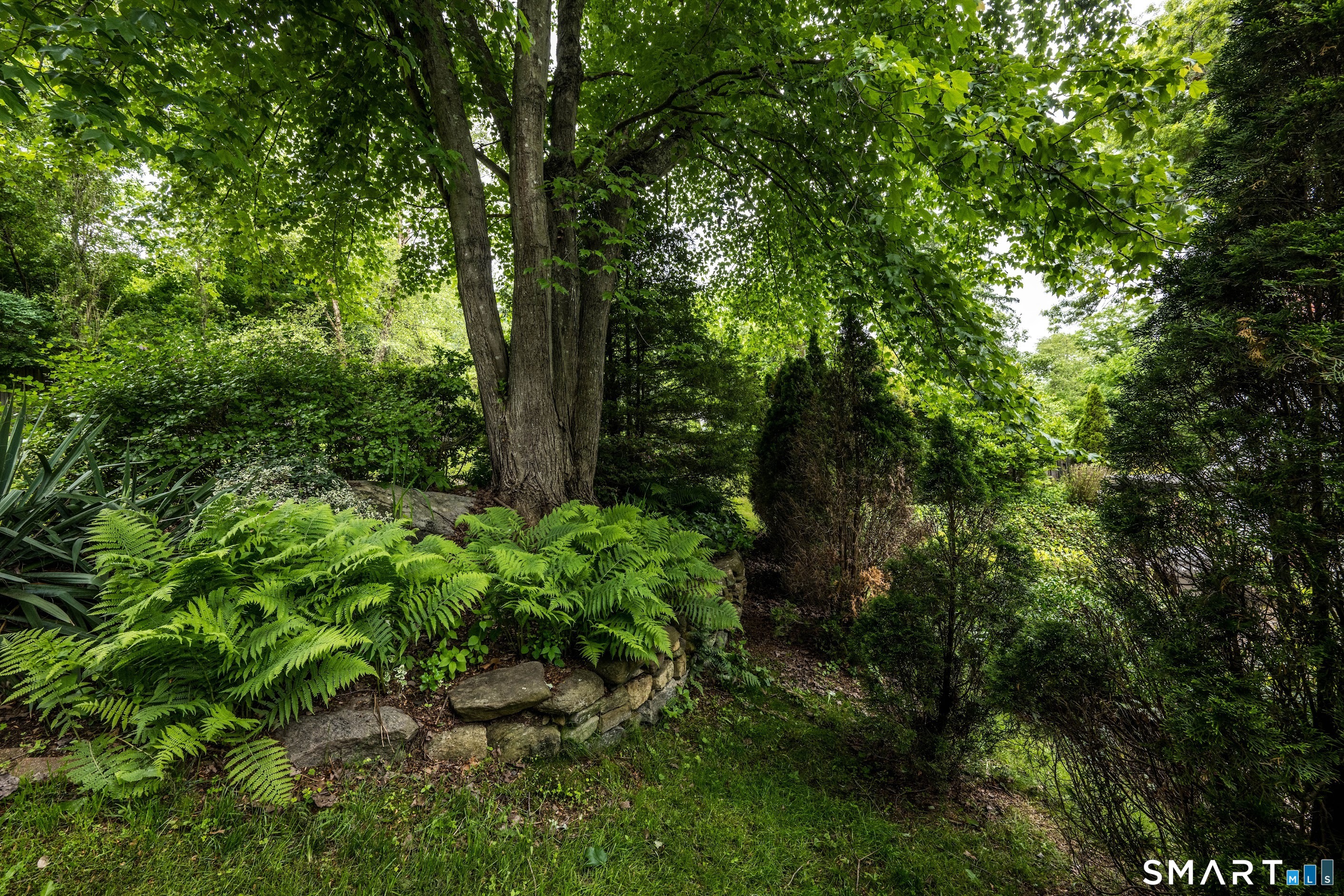 167 Saybrook Road Haddam CT 06441