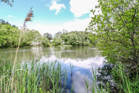 17 Alan Avenue Danbury CT 06811