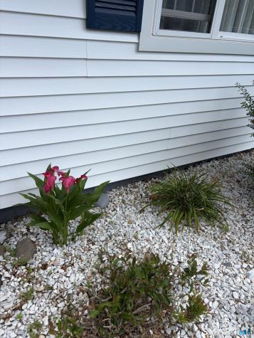 3 Mohican Lane Wallingford CT 06492