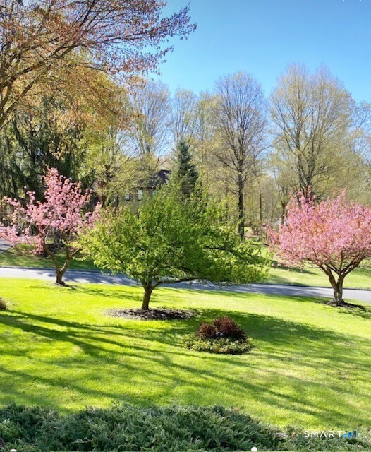 12 Heritage Drive Danbury CT 06811