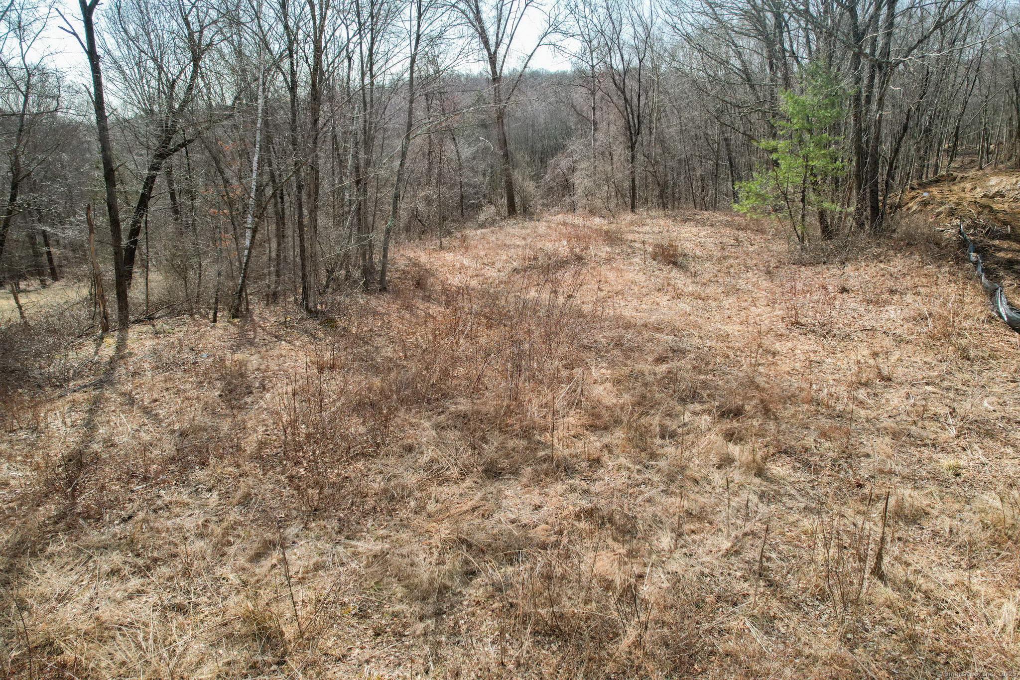 Lot 20 Bassett Road Watertown CT 06795
