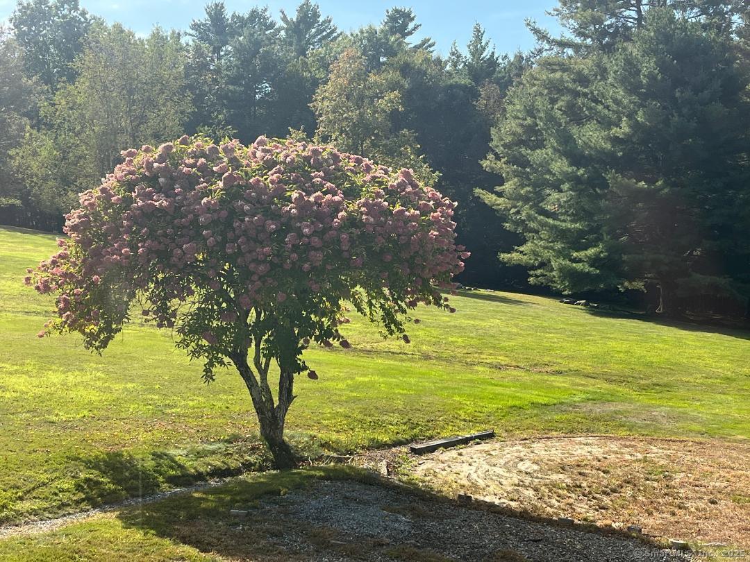 174 Stafford Street Stafford CT 06076