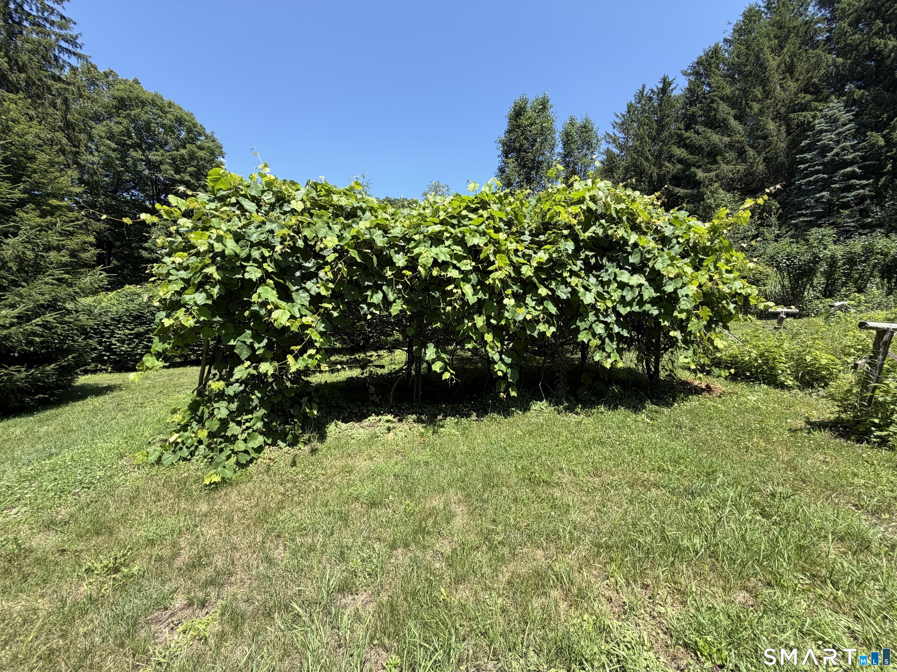 176 Mill Street Hartland CT 06065