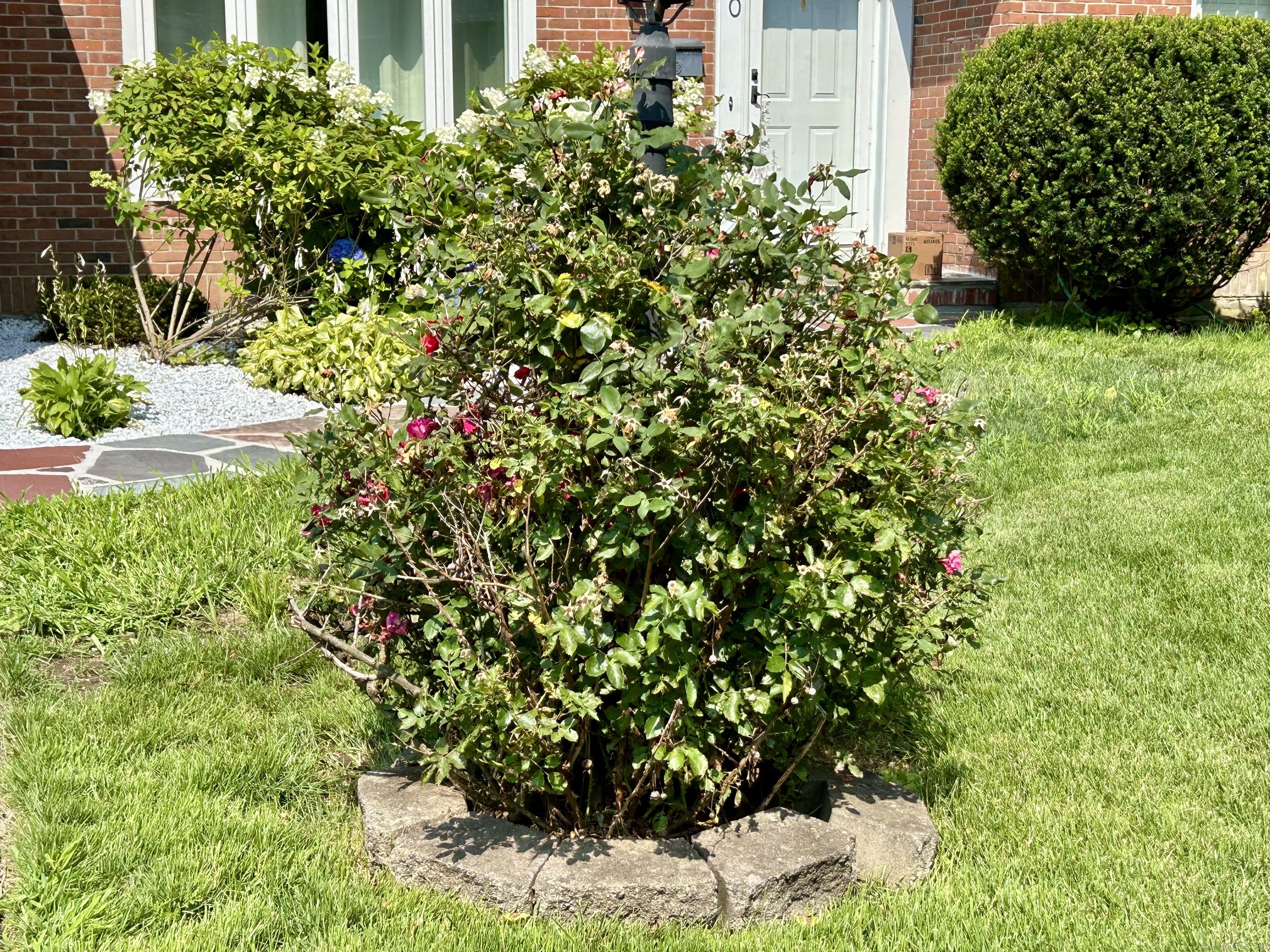 30 Apter Drive Torrington CT 06790