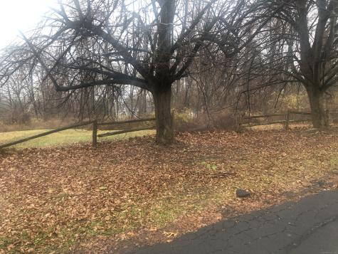 40 Ferncliff Drive West Hartford CT 06117