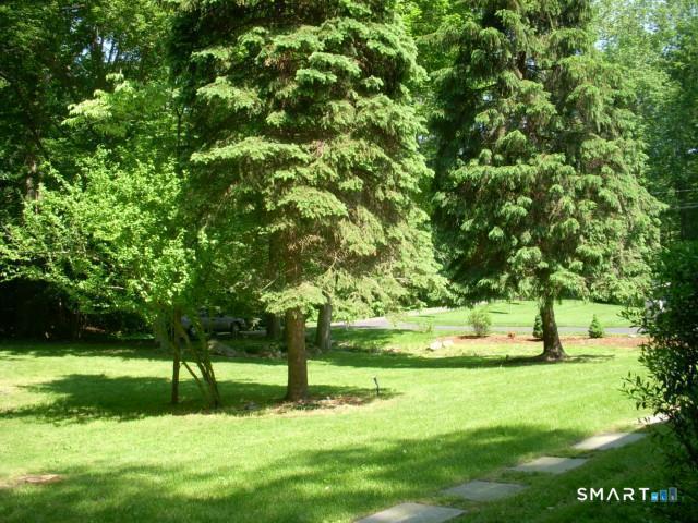 113 Dogwood Lane Stamford CT 06903