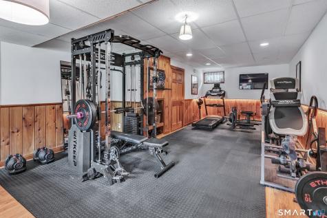 17 Plumtrees Road Newtown CT 06470