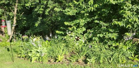 10 Elizabeth Lane Windham CT 06256
