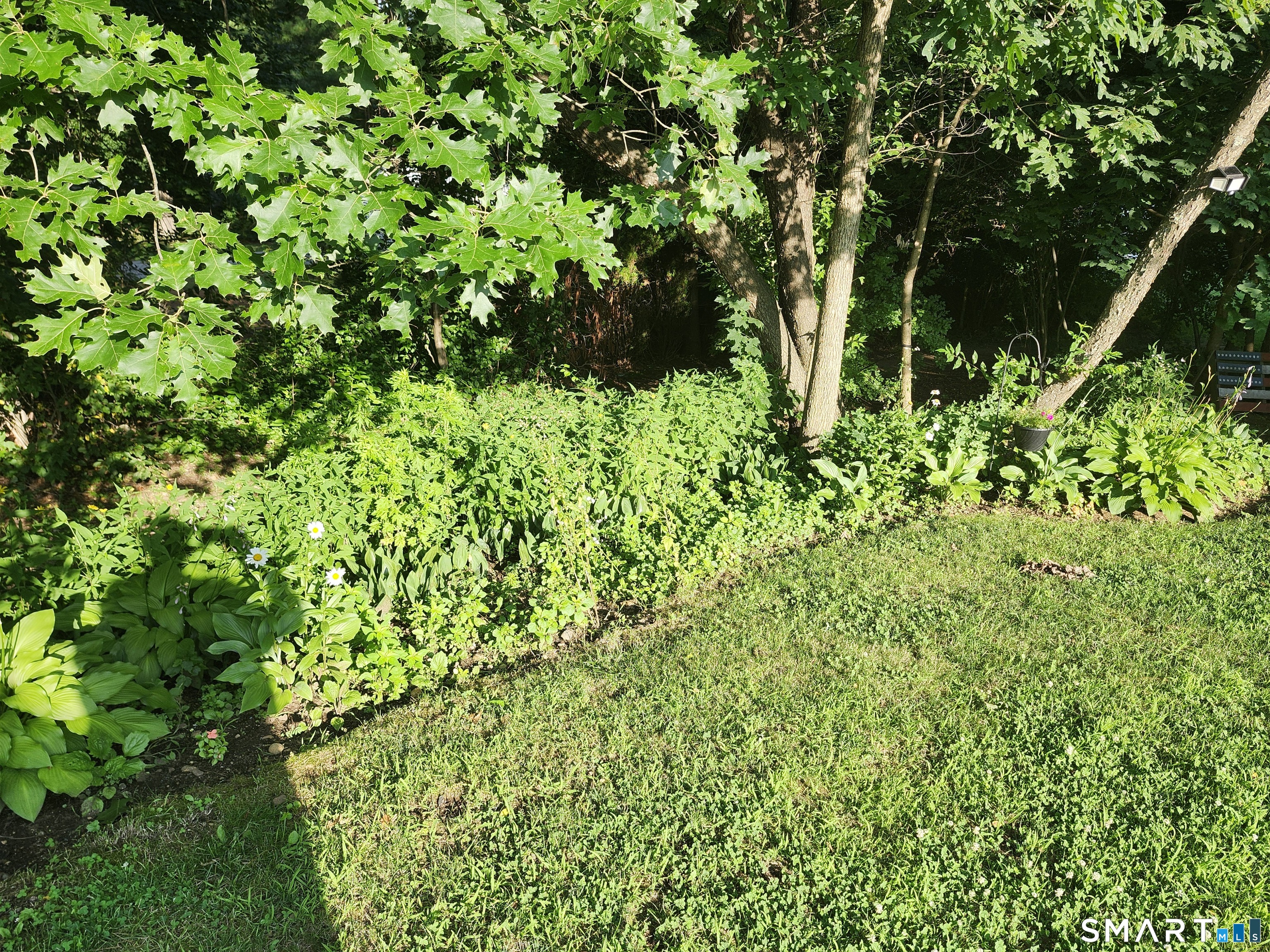 10 Elizabeth Lane Windham CT 06256