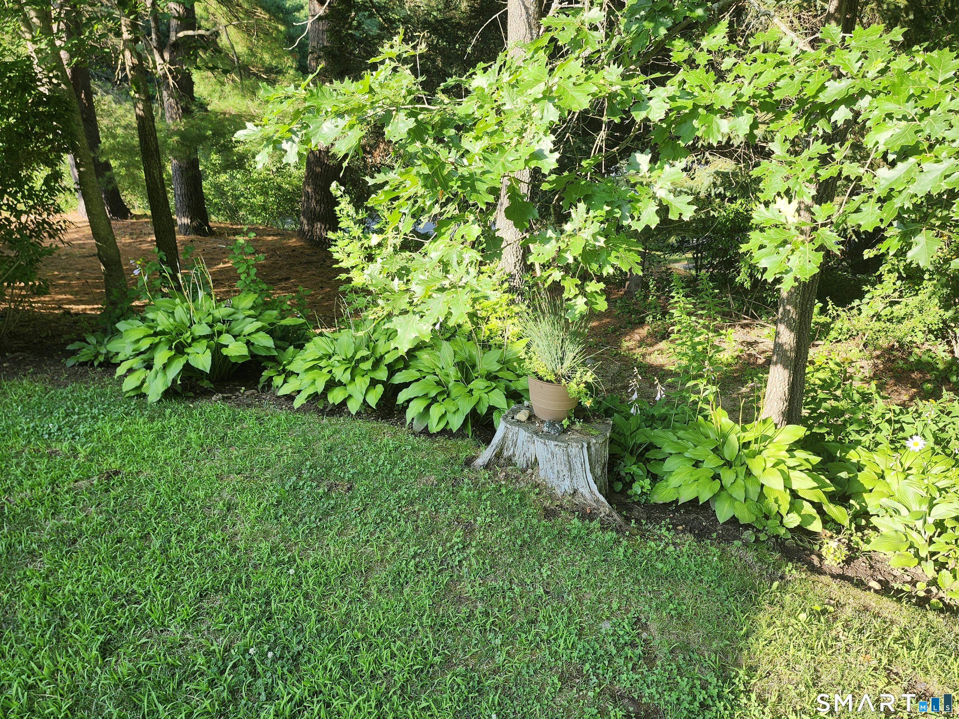 10 Elizabeth Lane Windham CT 06256