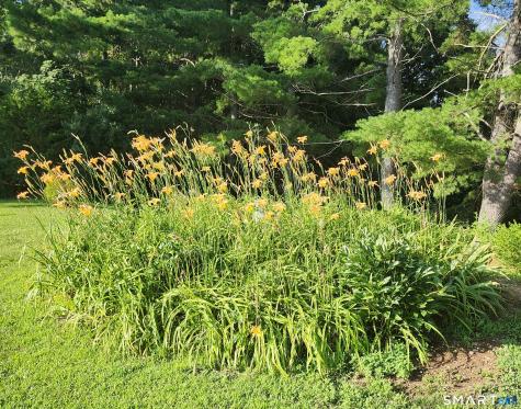 10 Elizabeth Lane Windham CT 06256