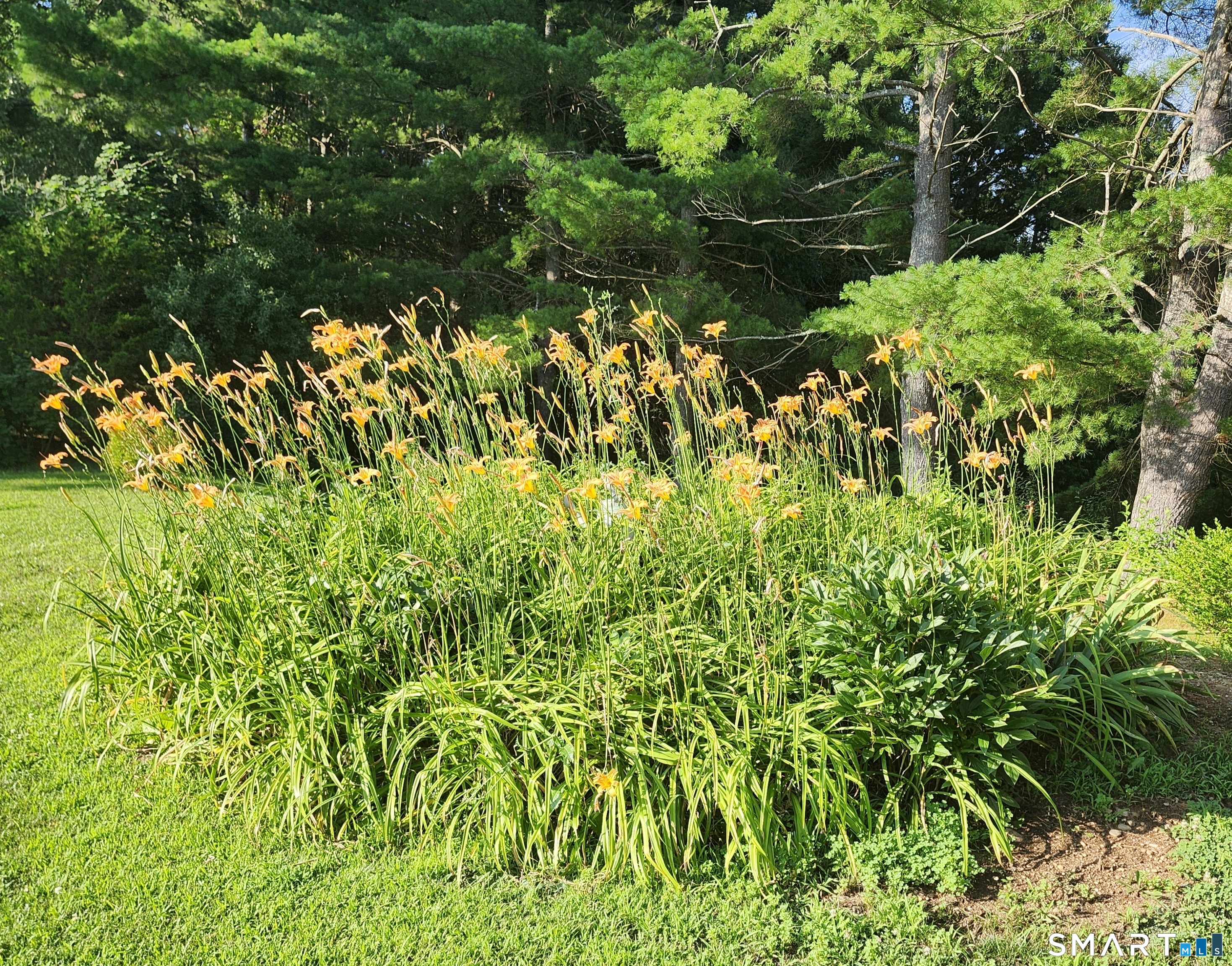 10 Elizabeth Lane Windham CT 06256