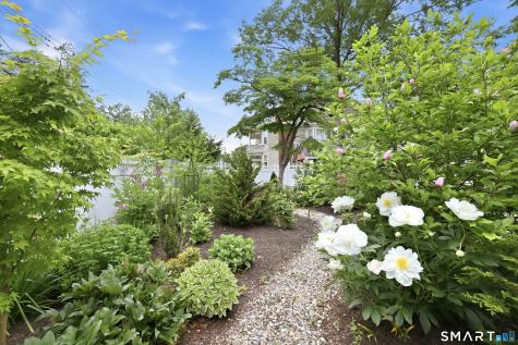65 West Park Avenue New Haven CT 06511