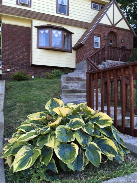 310 Fountain Street New Haven CT 06515