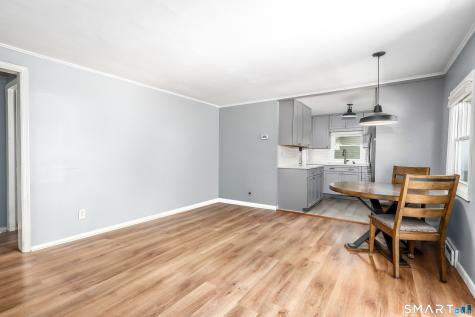 9 Birch Trail Danbury CT 06811