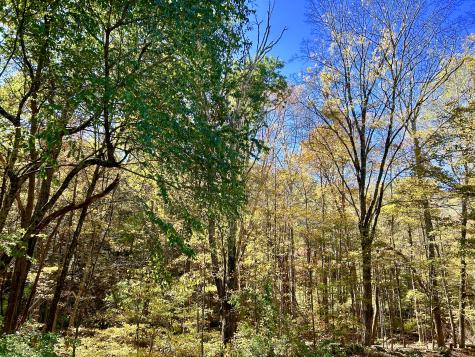 44 Route 6 Columbia CT 06237