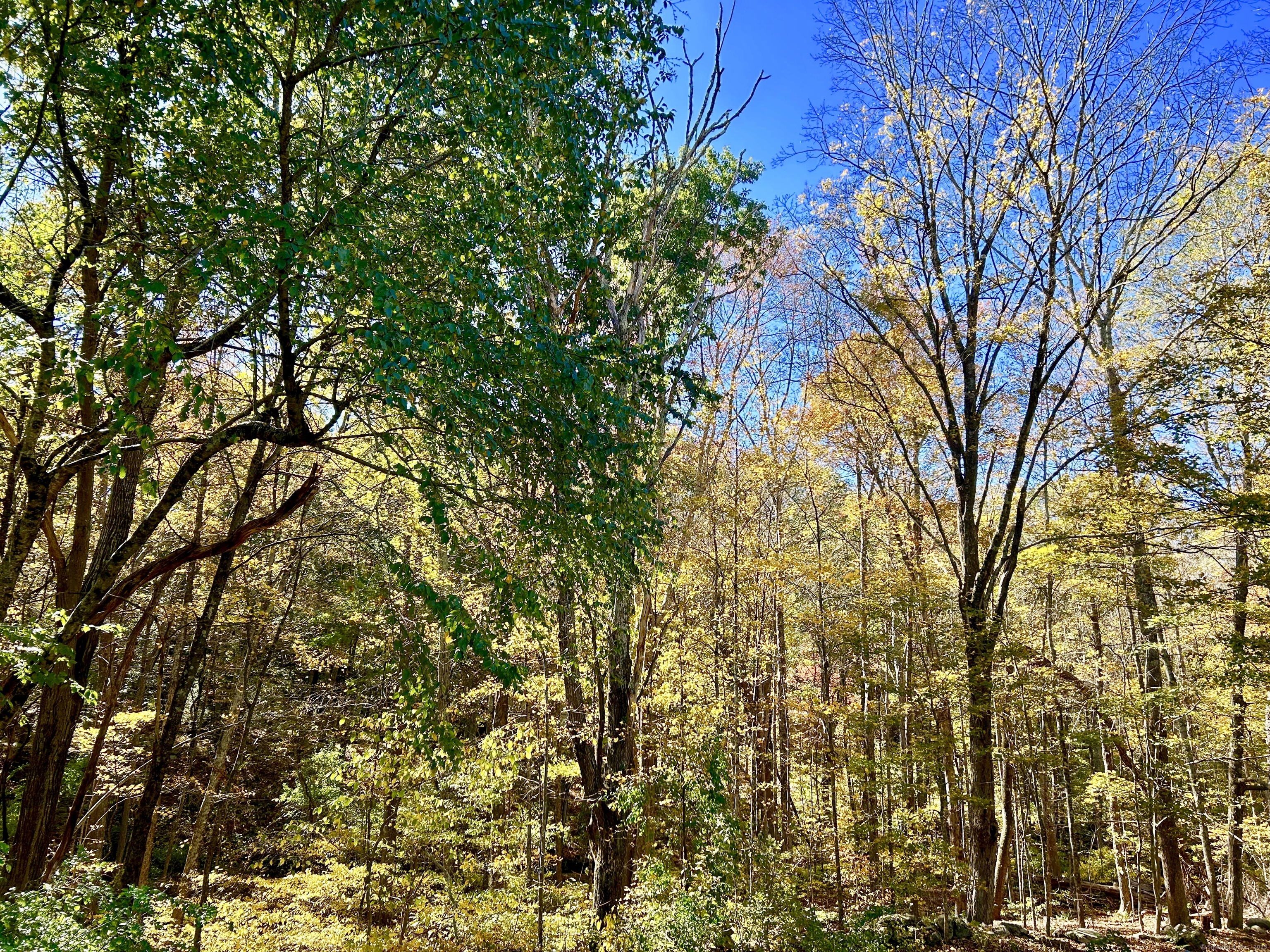 44 Route 6 Columbia CT 06237