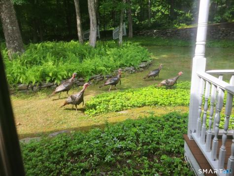 92 Clark Hill Road East Haddam CT 06423