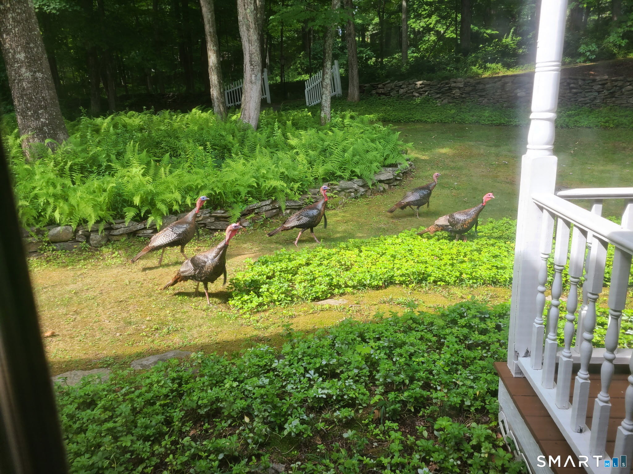 92 Clark Hill Road East Haddam CT 06423
