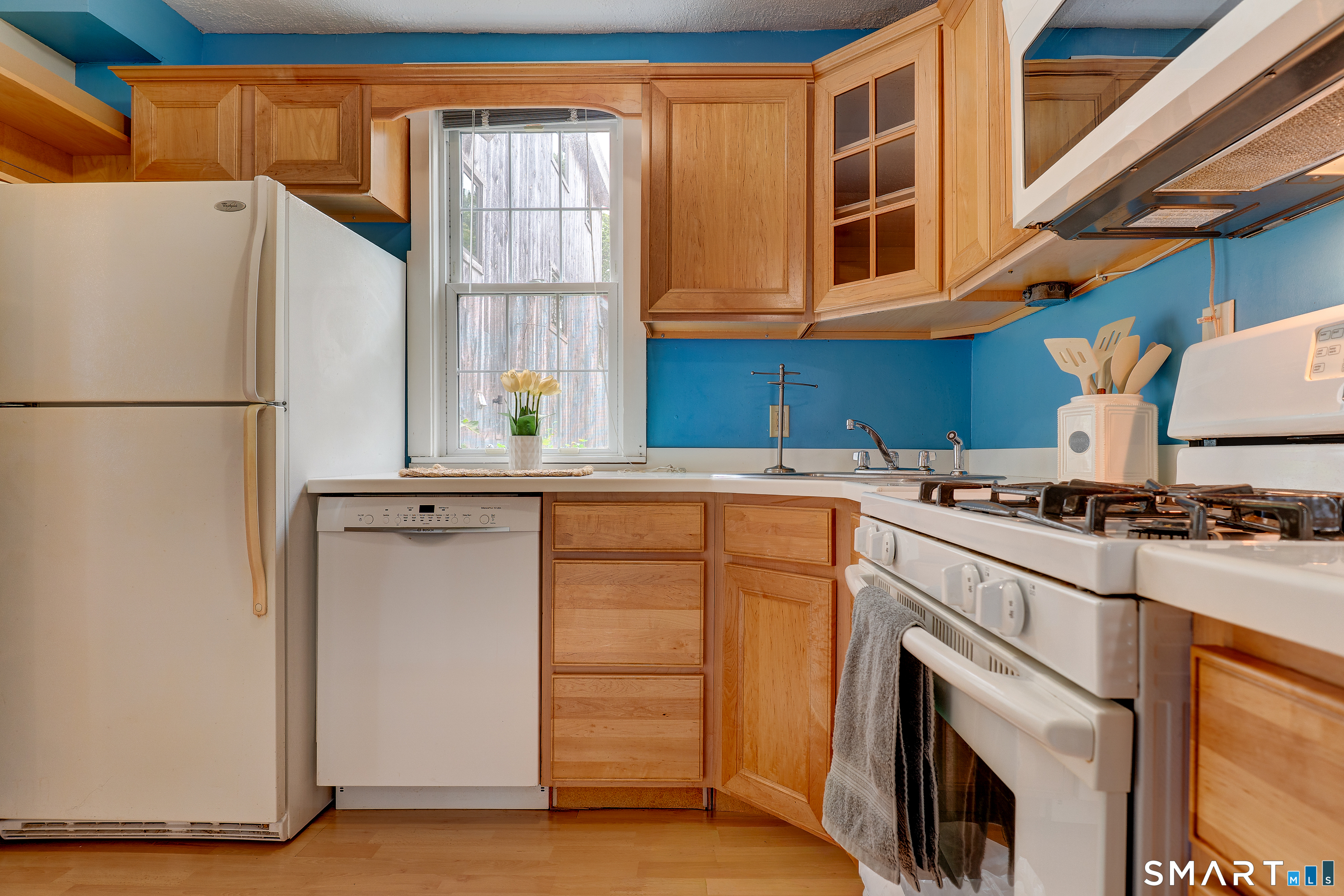 15 Hine Place New Haven CT 06511
