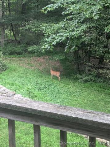 35 Sturbridge Road Easton CT 06612