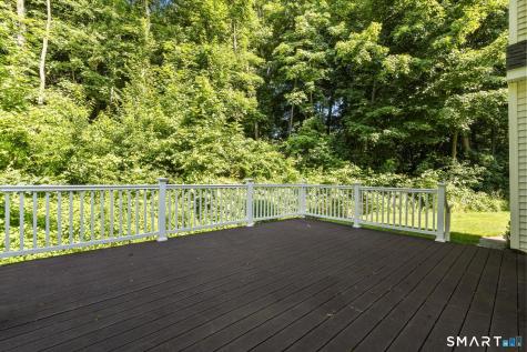 29 Nathan Hale Court Cheshire CT 06410