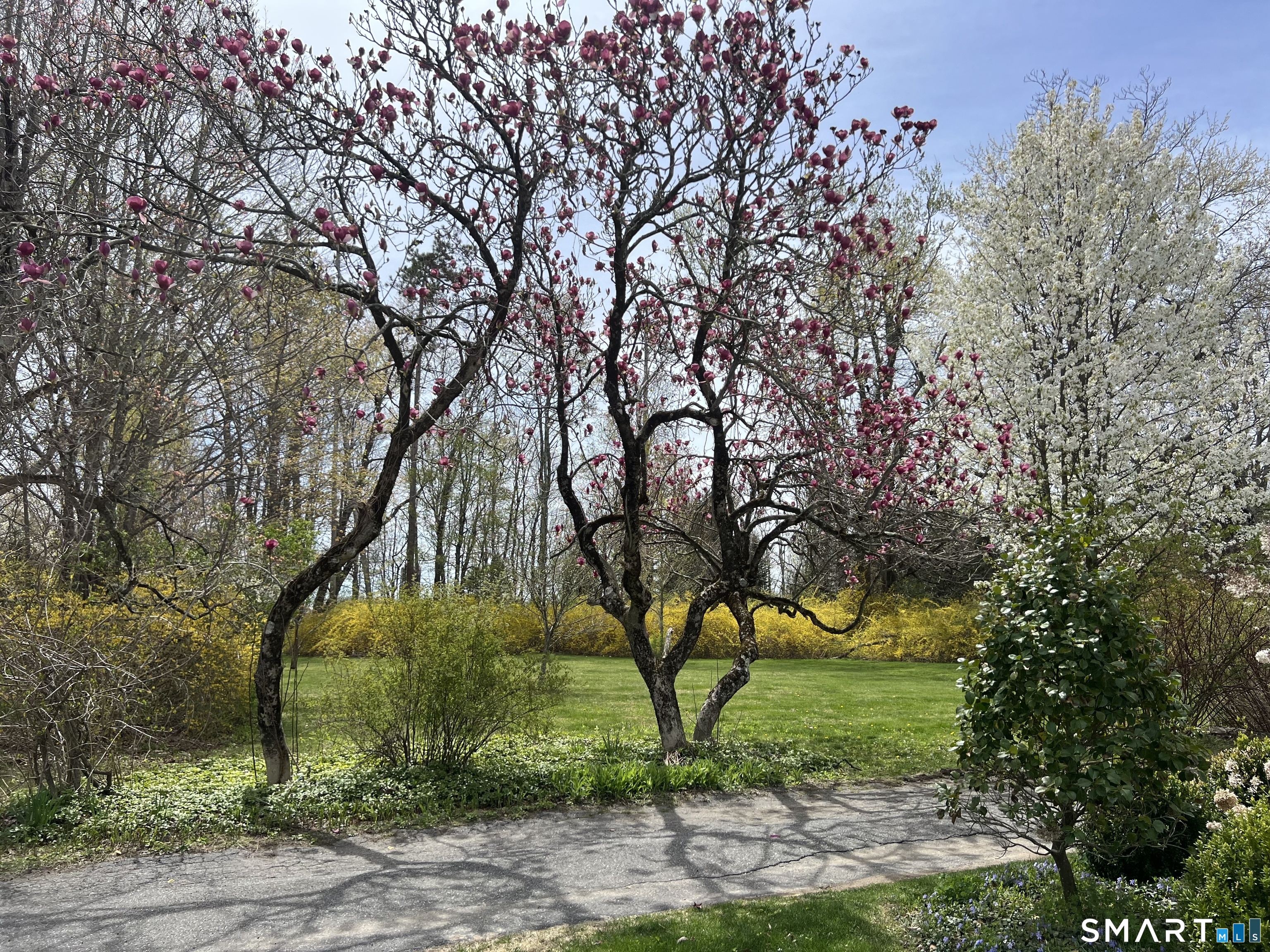 403 Beach Street Litchfield CT 06759