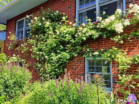 34 Davenport Drive Stamford CT 06902