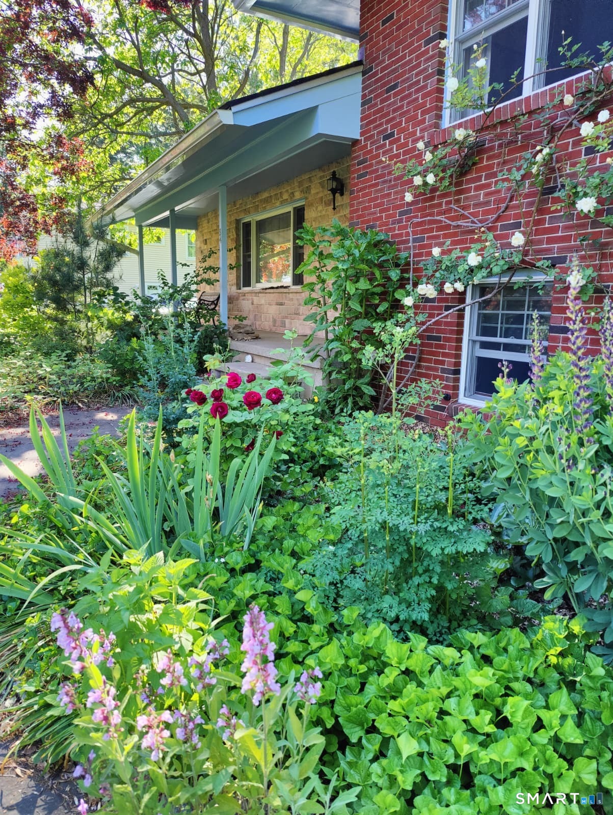 34 Davenport Drive Stamford CT 06902