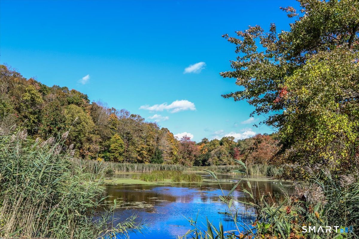 81 Lakeside Drive Ridgefield CT 06877