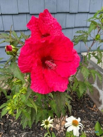 48 Dale Drive Milford CT 06461
