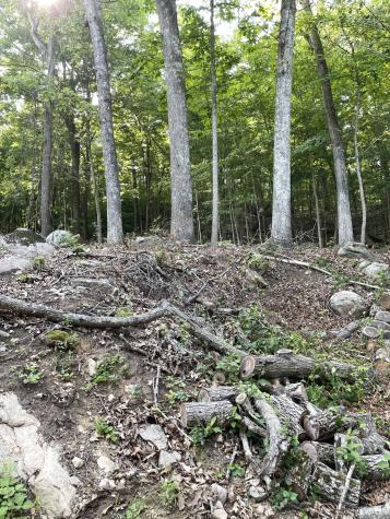 45R Long Pond South Road Ledyard CT 06339