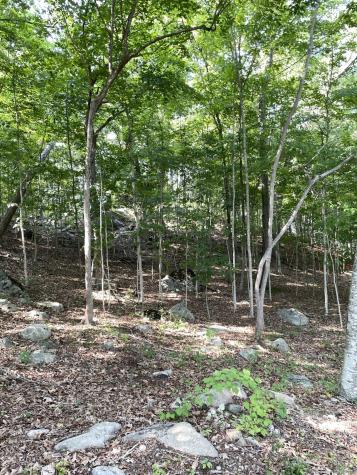 45R Long Pond South Road Ledyard CT 06339