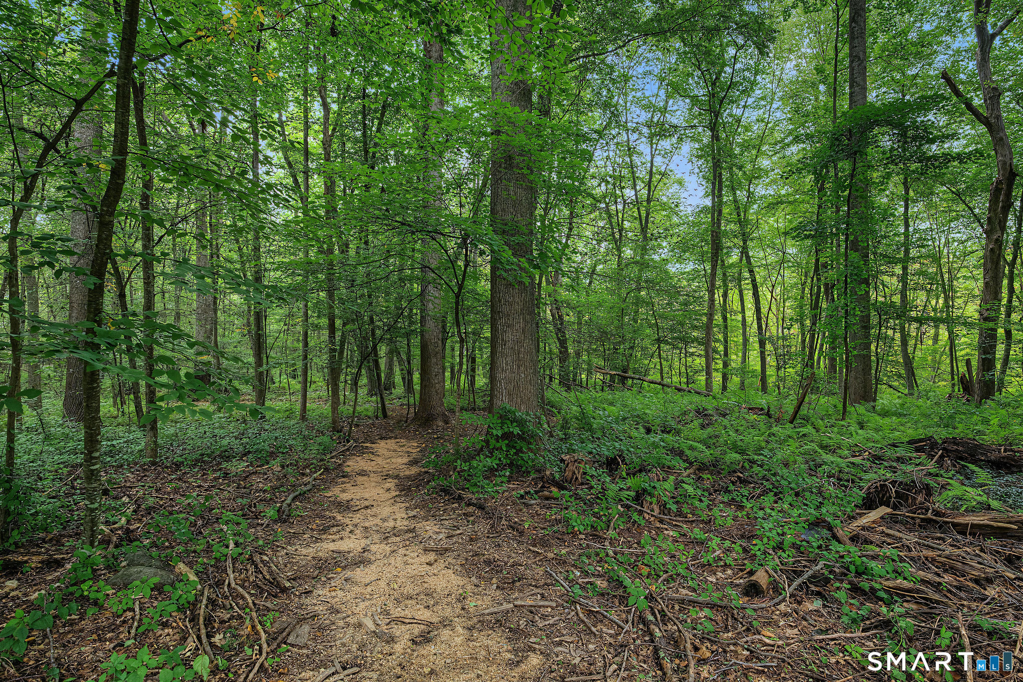 150 Race Hill Road Madison CT 06443