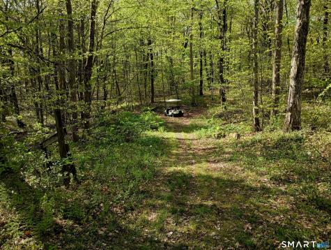 2581 Litchfield Road Watertown CT 06795