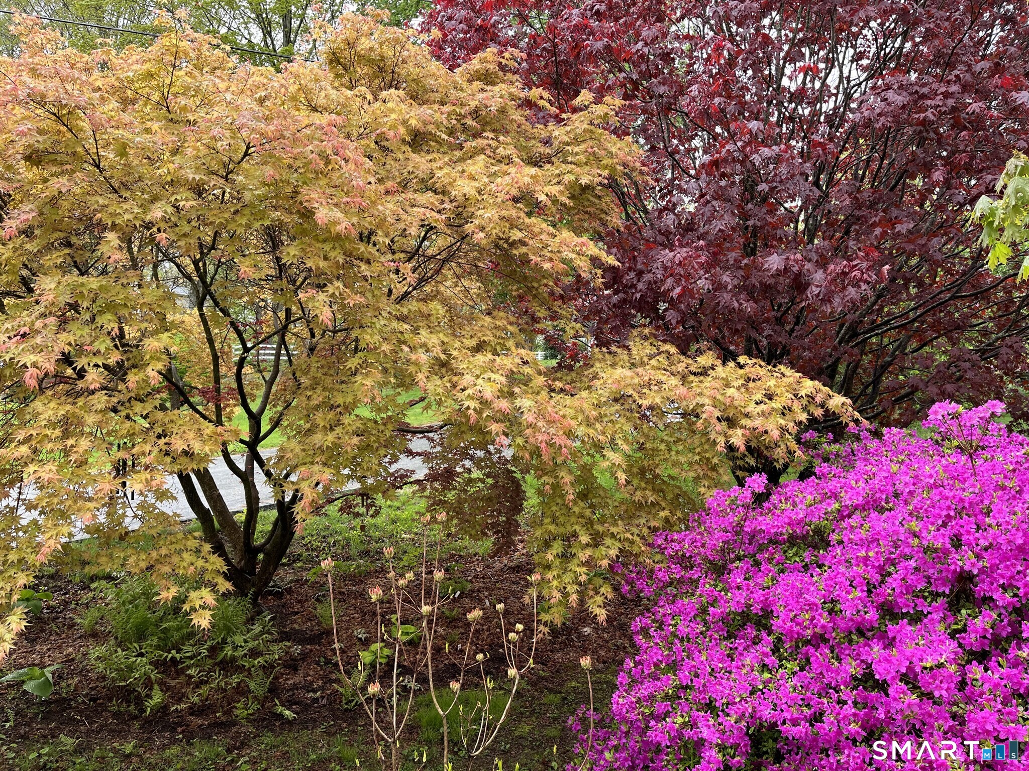16 Jones Lane Deep River CT 06417
