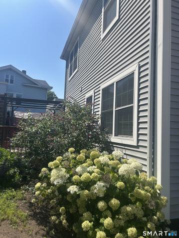 290 Division Street New Haven CT 06511