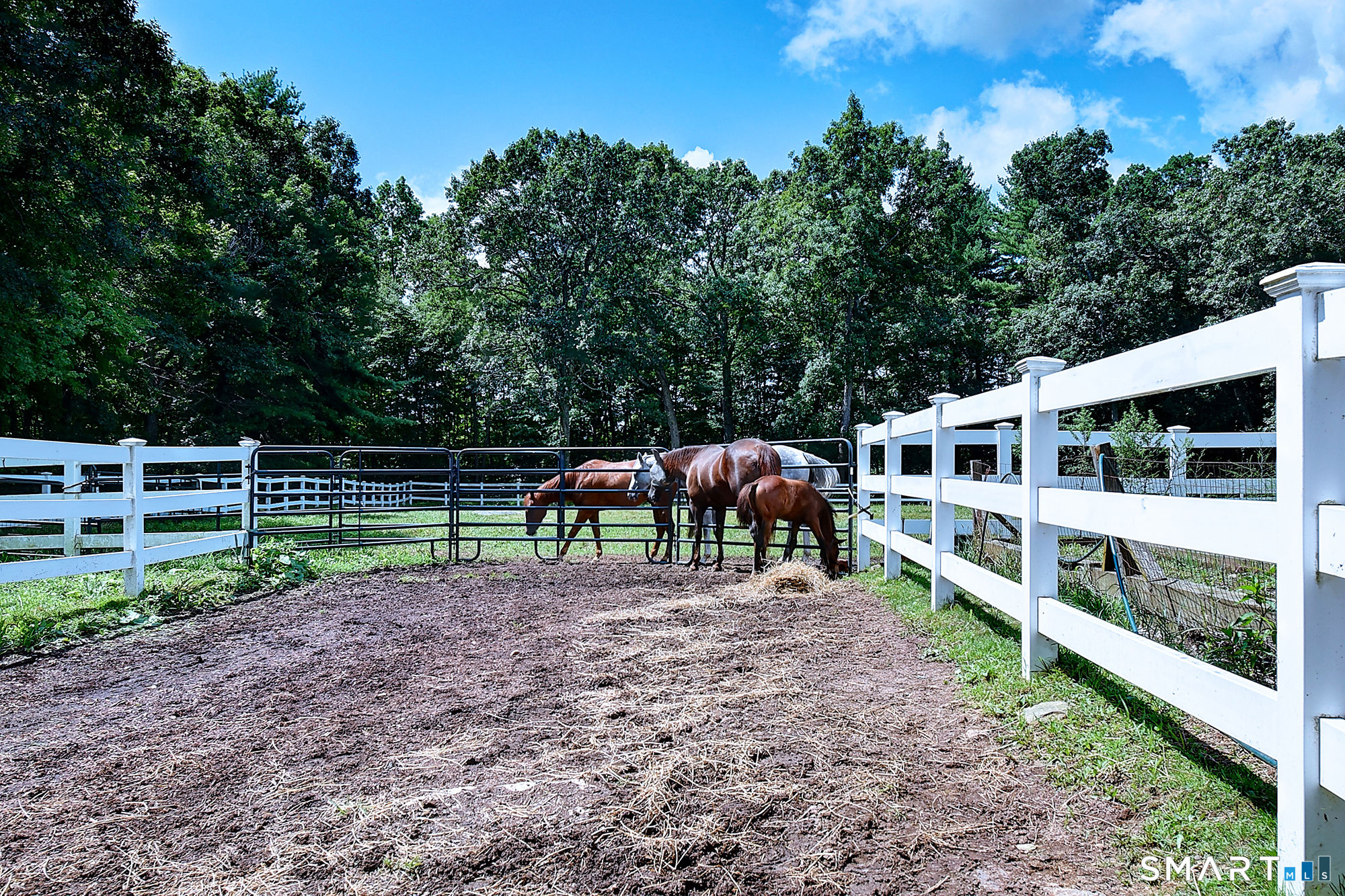 56 Old Farms Road Willington CT 06279
